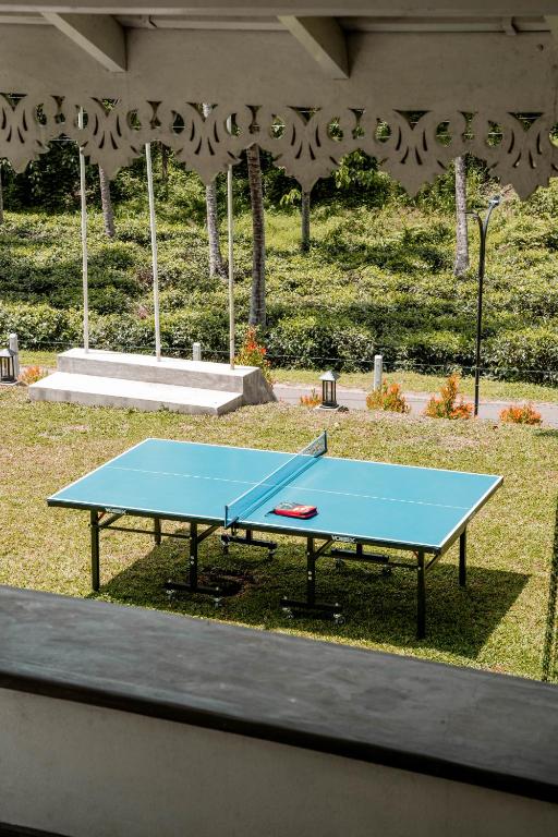 Play Table Tennis